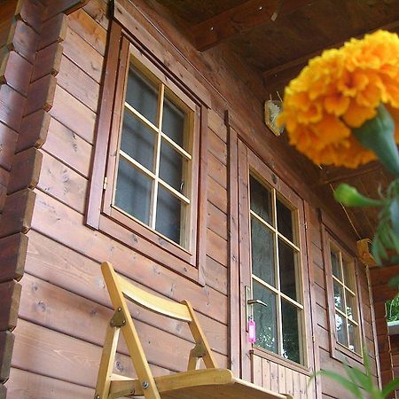 Onur Motel Faralya Εξωτερικό φωτογραφία