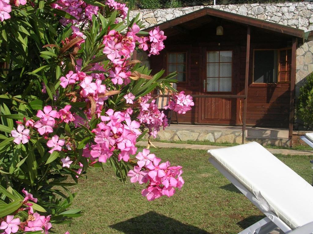 Onur Motel Faralya Εξωτερικό φωτογραφία