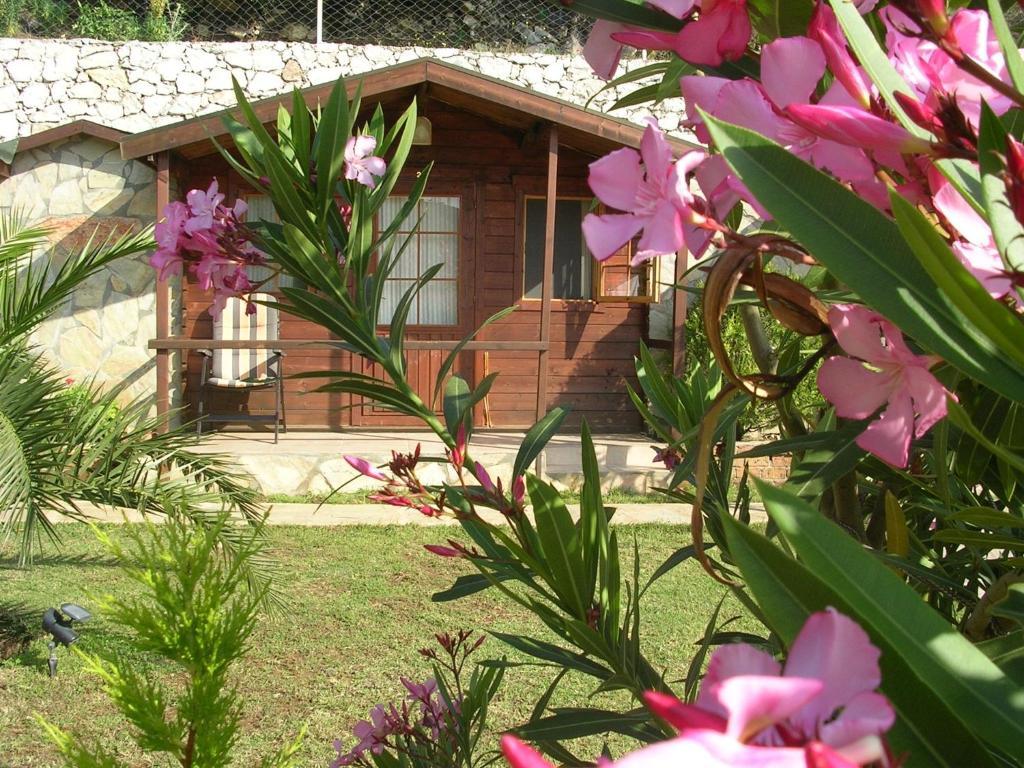 Onur Motel Faralya Εξωτερικό φωτογραφία
